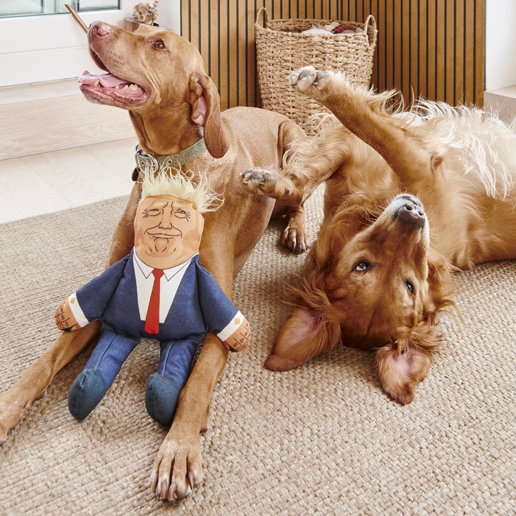 Vizsla and Golden Retriever with Donald Trump parody dog toy — funny political squeaky dog toy, gift for dog lovers