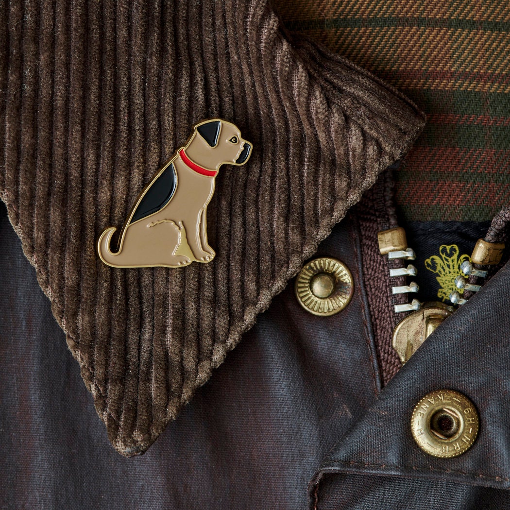 Close up of Border Terrier enamel pin attached to a corduroy jacket collar — gold-plated dog pin, perfect gift for dog lovers