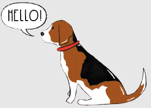 Beautiful Beagle things