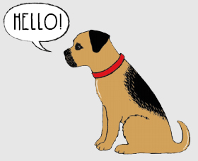 Beautiful Border Terrier things