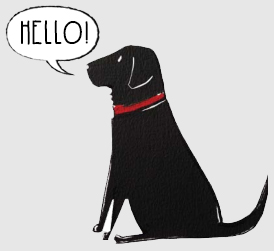 Lovely Black Labrador things