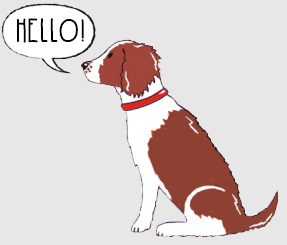 Super Springer Spaniel things