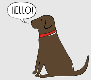 Lovely Chocolate Labrador things