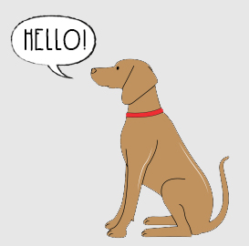 Beautiful Vizsla things