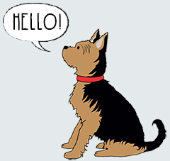 Terrific Yorkshire Terrier things