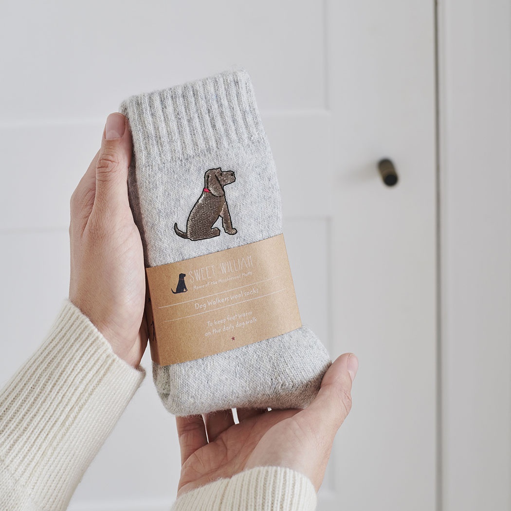 Cocker Spaniel (Chocolate) Dog Walking Socks