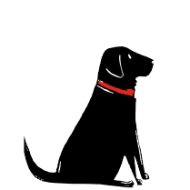 BLACK LABRADOR