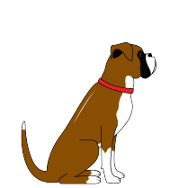 BOXER