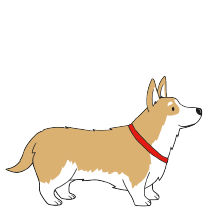 CORGI