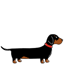DACHSHUND