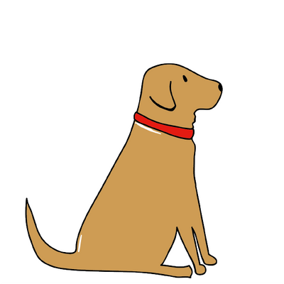 FOX RED LABRADOR