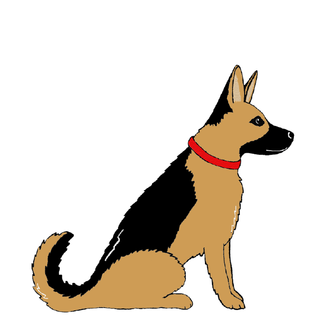 GERMAN SHEPHERD