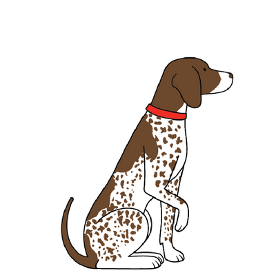 GERMAN SHORTHAIRED POINTER
