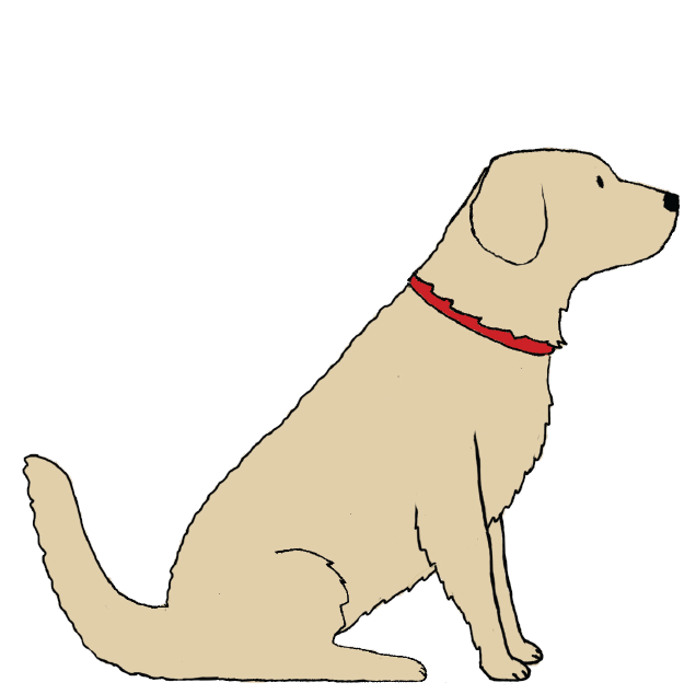 GOLDEN RETRIEVER