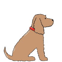 COCKER SPANIEL