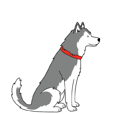 HUSKY / MALAMUTE