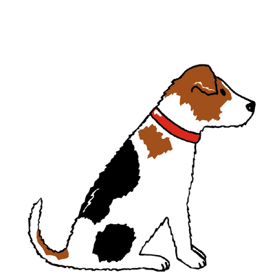 JACK RUSSELL