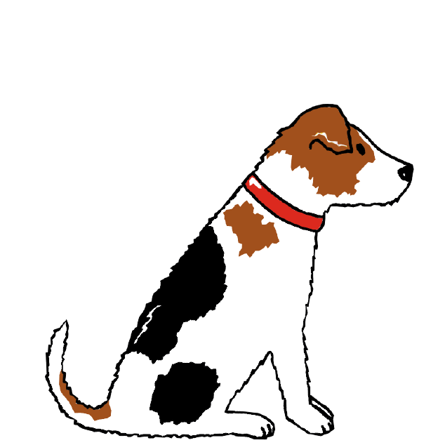 JACK RUSSELL