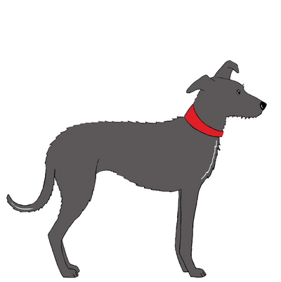 LURCHER
