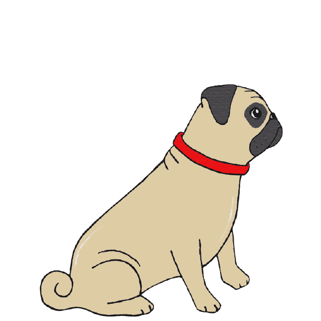 PUG