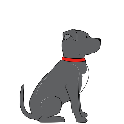 STAFFIE