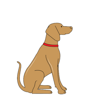 VIZSLA