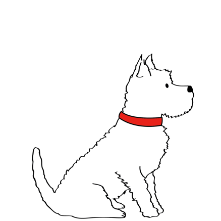 WESTIE
