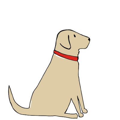 YELLOW LABRADOR