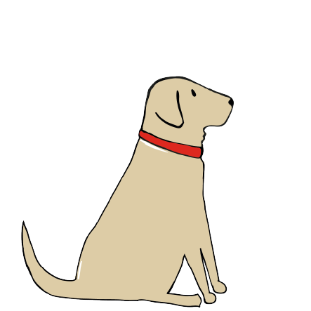 YELLOW LABRADOR