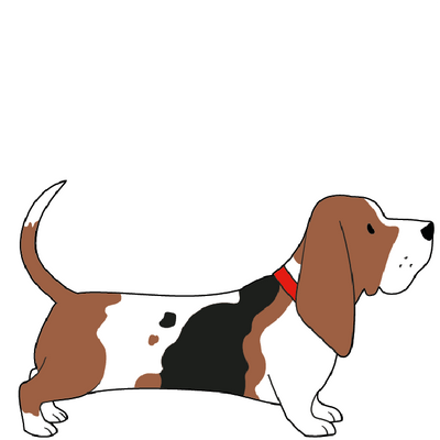 BASSET HOUND