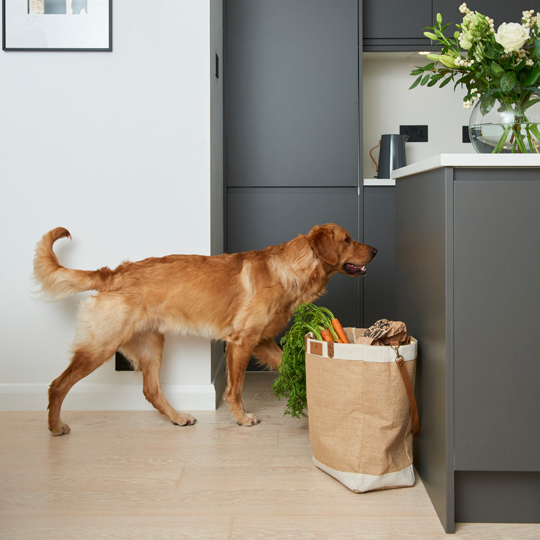 Golden Retriever investigating jute tote bag filled with carrots in a kitchen — large jute shopping bag with leather handles