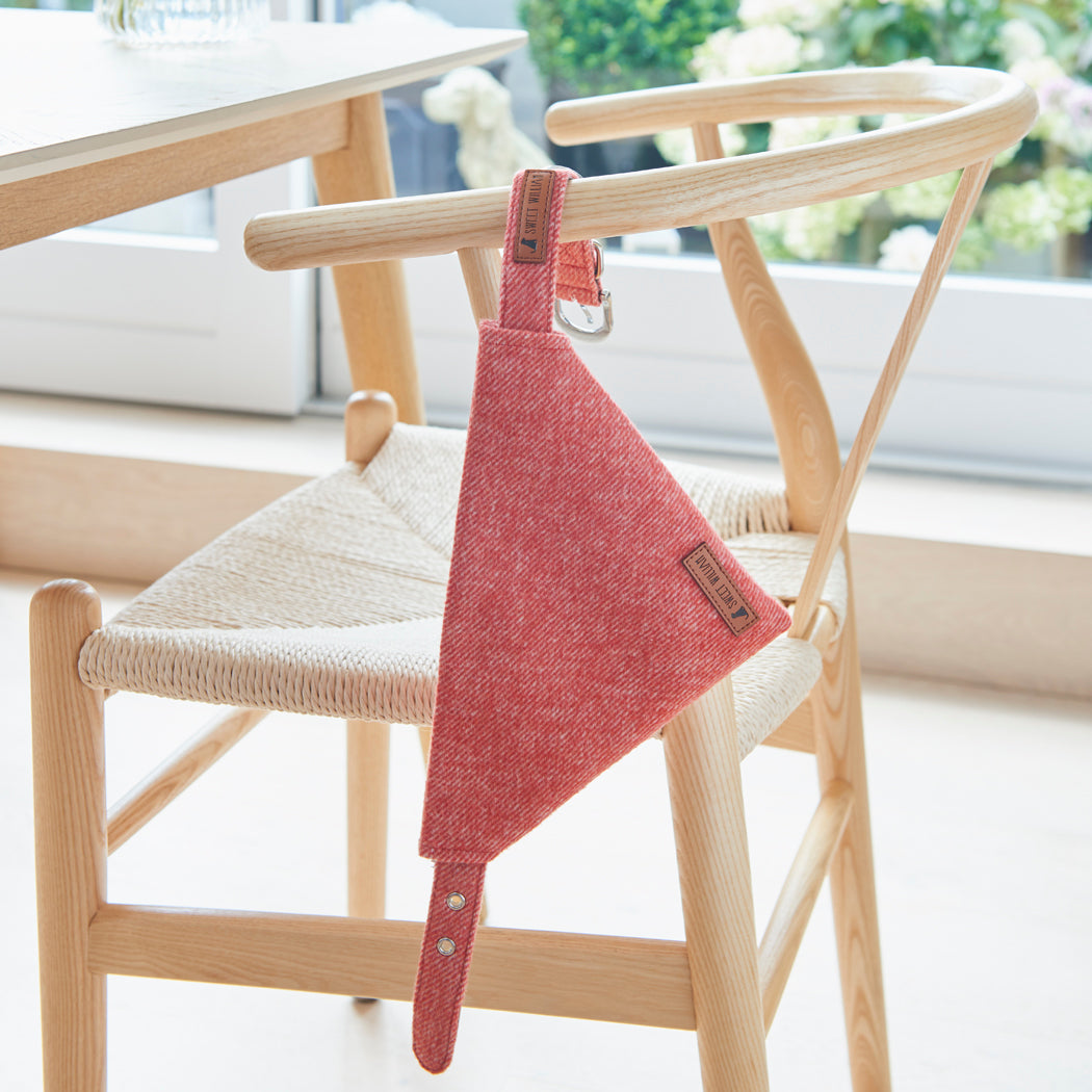 Smart orange tweed dog bandana threaded onto its matching collar, ready for country walks and Sunday afternoons at the pub