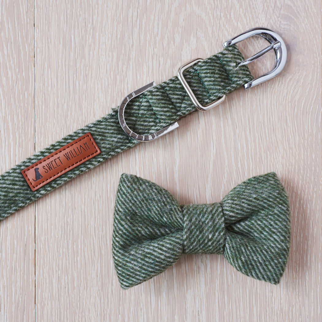 Green tweed dog bow tie with matching collar