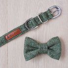 Green tweed dog bow tie with matching collar