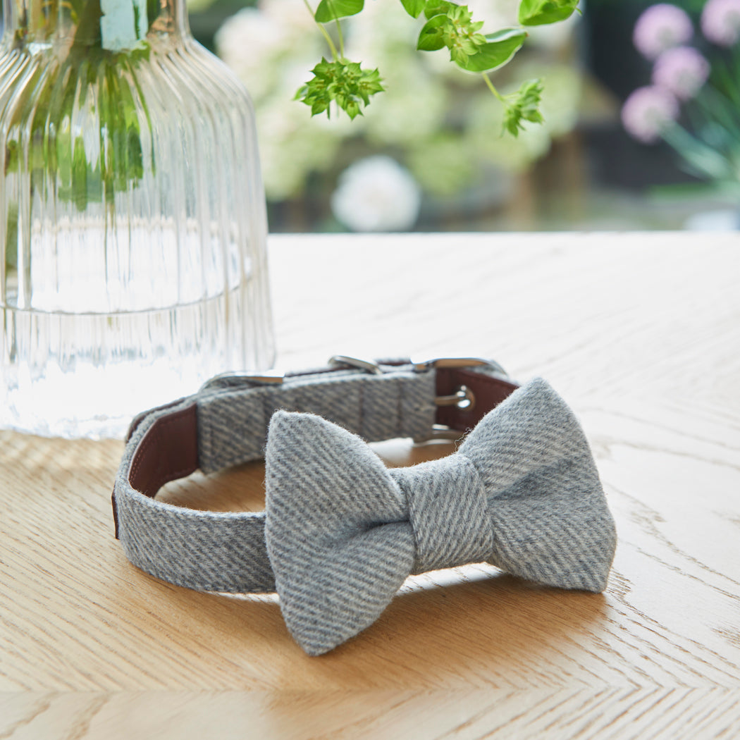 Grey tweed dog bow tie attached to a dog collar