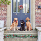 Three much-loved dogs wearing our full collection of Christmas bow ties in red, green and gold, sitting proudly outside a festive front door