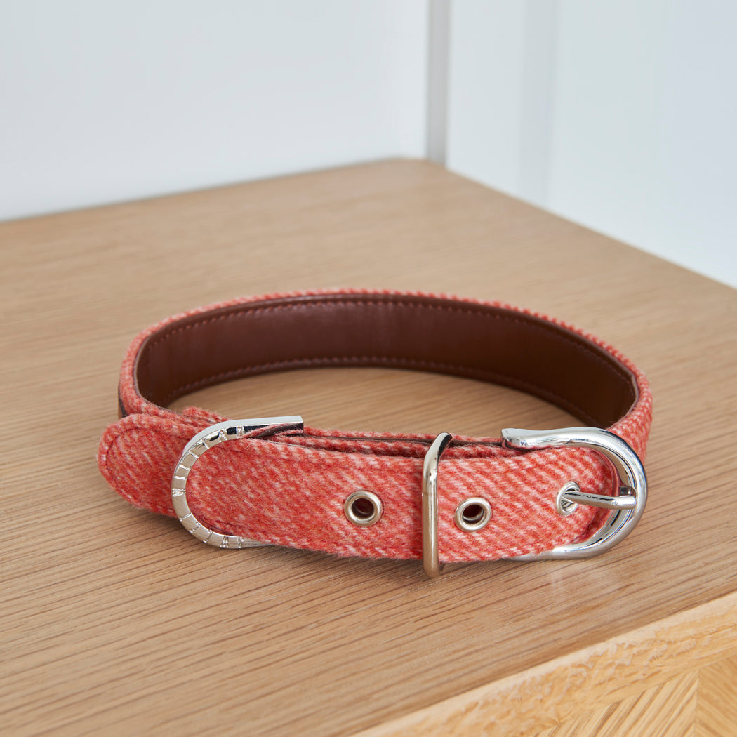Orange tweed dog collar with vegan leather lining
