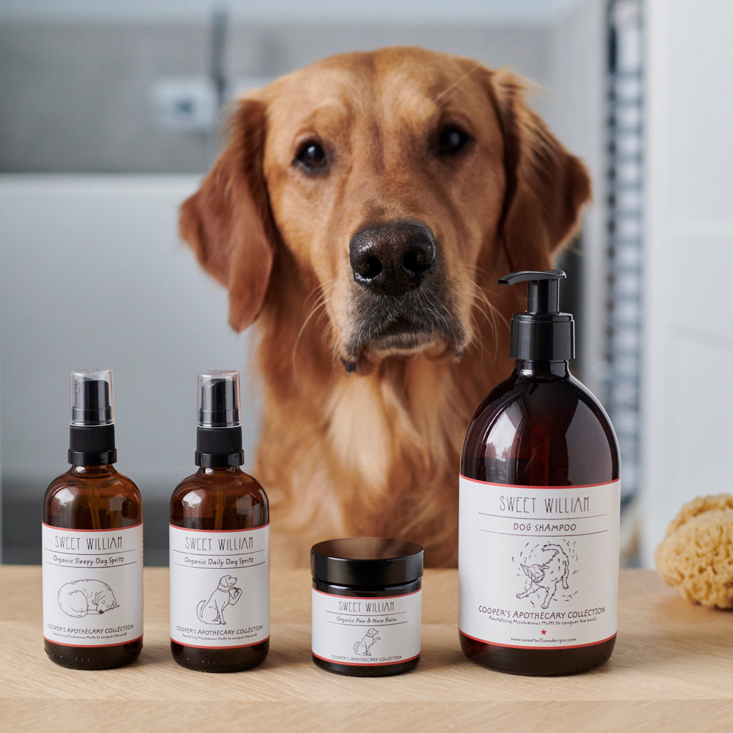 Cooper the Golden Retriever pictured behind his Cooper’s Apothecary grooming range, including dog shampoo, paw balm and dog spritzes