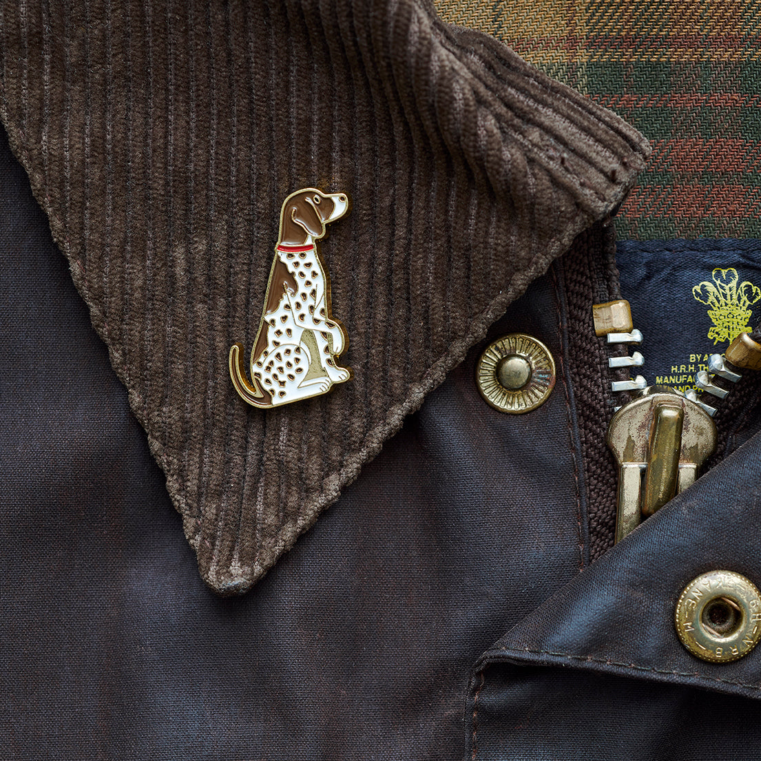 Close-up of German Shorthaired Pointer enamel pin attached to a corduroy jacket collar — gold-plated dog pin by Sweet William Designs 