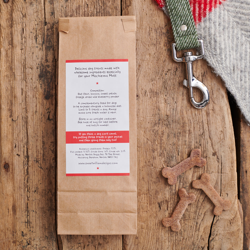 Banana & Blueberry Dog Treats close-up — handmade with natural ingredients, healthy baked dog biscuits