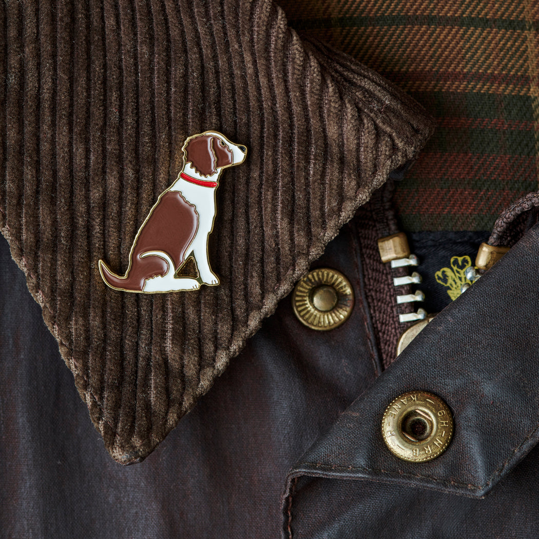 Liver & White Springer Spaniel enamel pin styled on a corduroy jacket collar — gold-plated dog pin, perfect gift for dog lovers