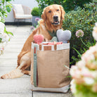 Golden Retriever beside a jute bag filled with grey, green and orange tweed dog bone toys and matching accessories