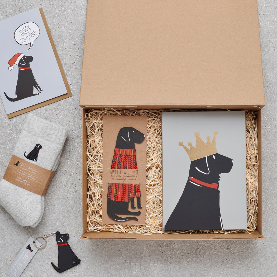 Black Labrador gift hamper featuring bookmark, socks, notebook and keyring — thoughtful dog lover gift set by Sweet William Designs
