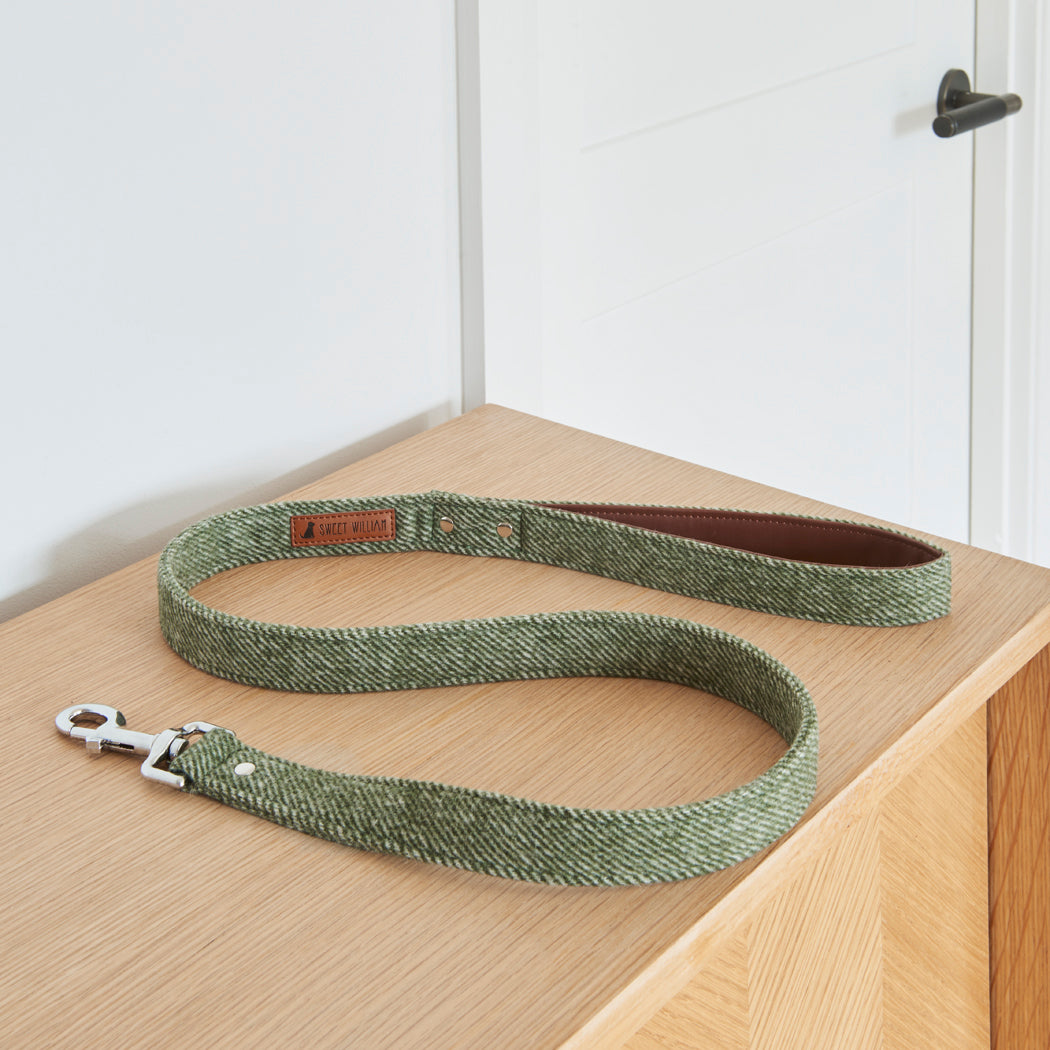 Green tweed dog lead for everyday walks