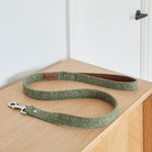 Green tweed dog lead for everyday walks