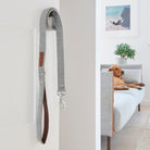 Dog wearing a grey tweed dog lead beside a doorway