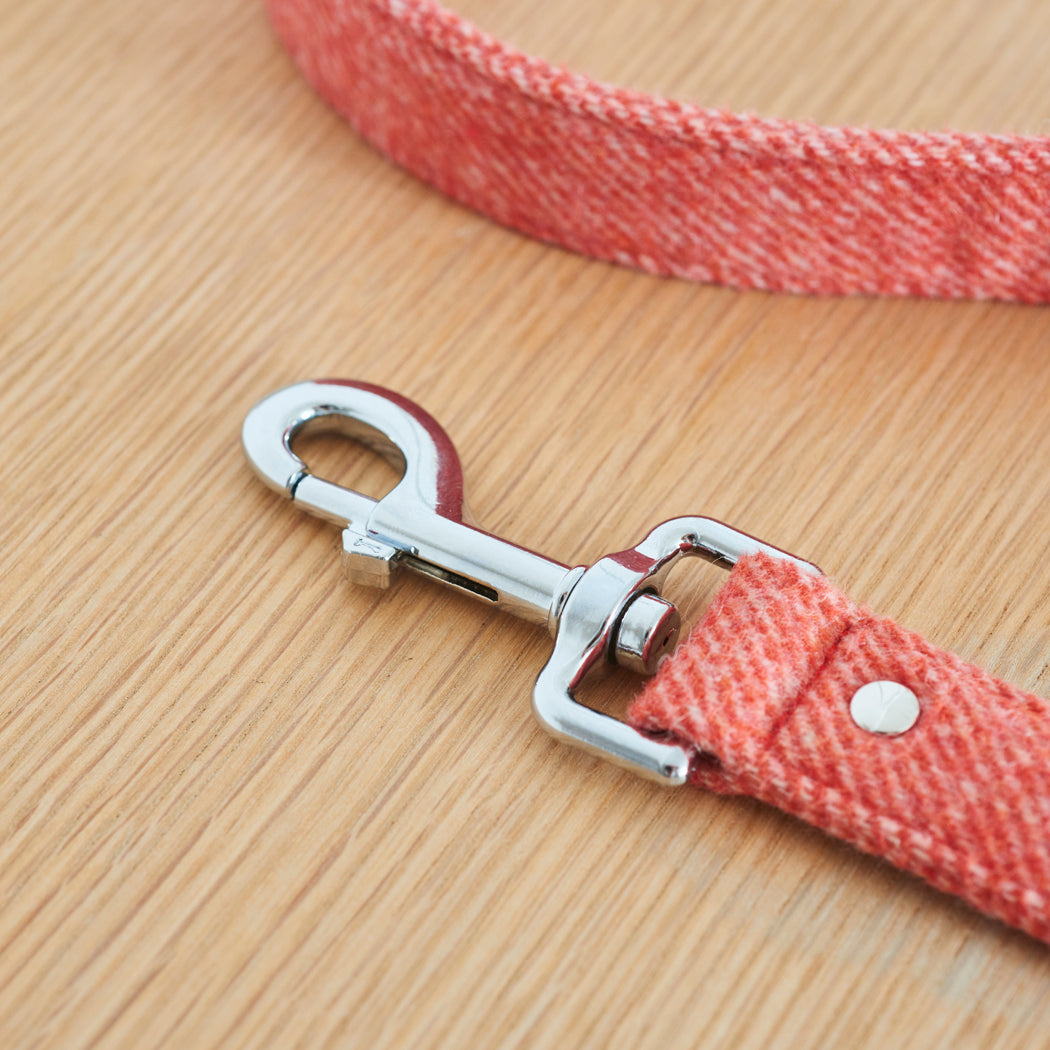 Close-up of the silver clasp on an orange tweed dog lead