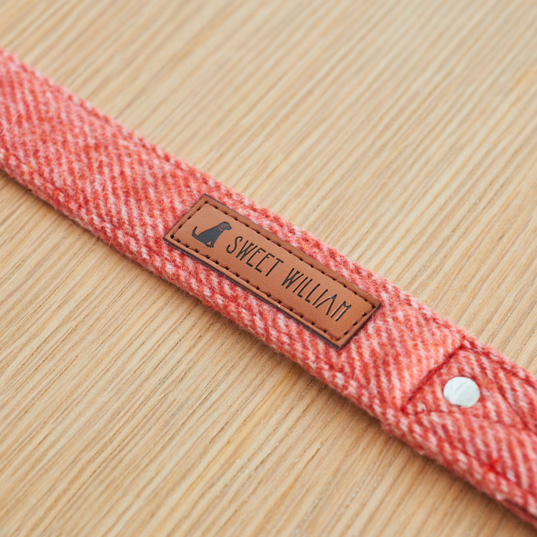 Close-up of the tag on an orange tweed dog lead