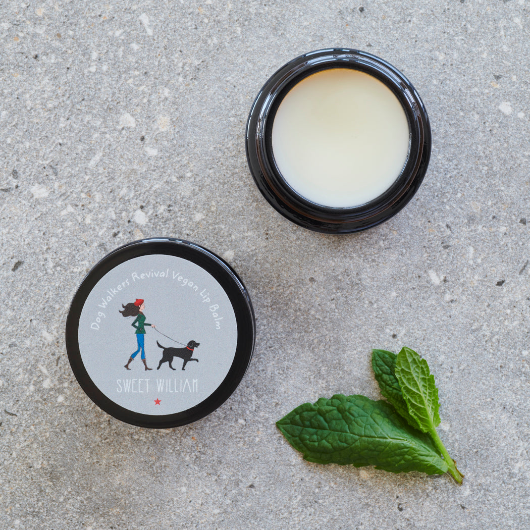 Dog Walkers Revival Vegan Lip Balm open amber glass pot with mint leaves — overhead view, vegan dog walker gift by Sweet William Designs