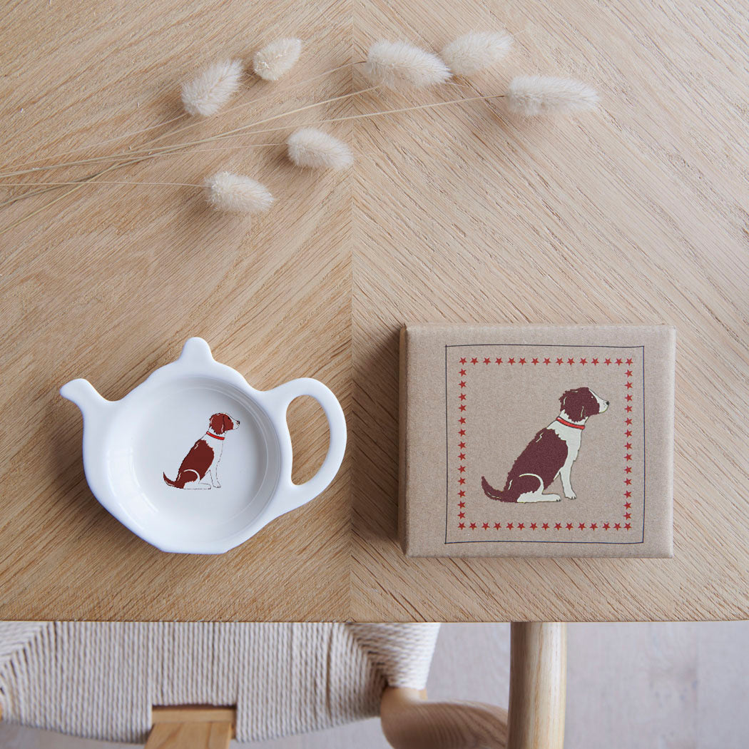 White teapot-shaped Liver & White Springer Spaniel teabag dish beside its kraft gift box, both featuring a matching dog illustration with a red collar